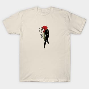 Red-breasted Sapsucker T-Shirt